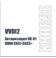 Авторизация VB-01 для BMW CAS1-CAS3+ - диагностическое оборудование