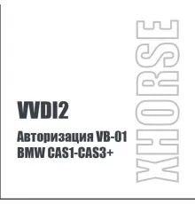 Авторизация VB-01 для BMW CAS1-CAS3+